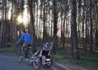 Przyczepka rowerowa (wózek) Chariot Thule CX1/CX2 - test, wrażenia z użytkowania