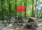 Przyczepka rowerowa dla psa Croozer Dog w Mazowieckim Parku Krajobrazowym
