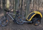 Przyczepka rowerowa dla dzieci Burley Bee – przemyślana prostota