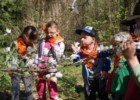 Leśne Arboretum Warmii i Mazur w Kudypach im. Polskiego Towarzystwa Leśnego