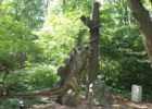 DinoPark w Malborku