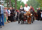 Gdzie się wybrać 16 sierpnia? Oczywiście do Mikstatu w Wielkopolsce...