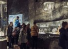 Dzień Otwarty Muzeum w Wieliczce 2022 - 20 listopada