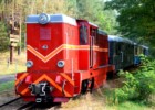 Sezon turystyczny 2017 w Muzeum Kolei Wąskotorowej w Sochaczewie