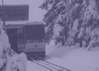 Ferie w Warszawie - Stacja Muzeum „Zima na Głównym” – 31.01-11.01.2022