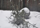 Porosty - oznaka czystego powietrza! Wycieczki pieszcze z dziećmi w okolicach Warszawy.