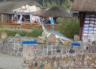 Łeba Park - wakacje z dzieckiem nad morzem