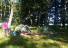 Na kempingu nr 64 w Zdbicach - pole namiotowe zlokalizowane wśród drzew dających cień.