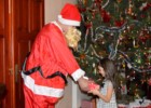 Święta Bożego Narodzenia poza domem – pakiet świąteczny dla rodzin z dziećmi w Gospodarstwie Agroturystycznym „Między Zamkami”