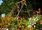 Agroturystyka dla dzieci Izerski Potok - wakacje z dziećmi w górach