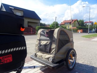 Przyczepka rowerowa dla psa - Burley Tail Wagon oraz Croozer Dog