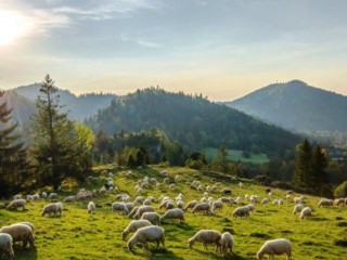 Długi weekend majowy z rodziną w pięknej scenerii górskiej