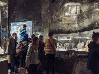 Dzień Otwarty Muzeum w Wieliczce 2022 - 20 listopada