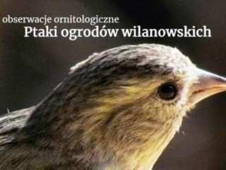 Zimowe spotkania ornitologiczne w Parku Wilanowskim