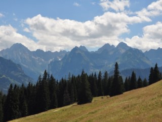 Przez las na Gęsią Szyję czyli... przepiękna panorama Tatr Wysokich w nagrodę