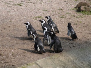 Nietypowe ferie zimowe w ZOO w Warszawie!