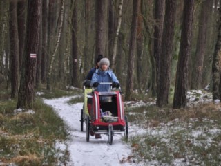 Kampinoska mała pętla z dziećmi