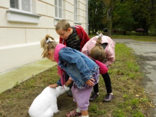 Zapraszamy na "Pluszowy konkurs"