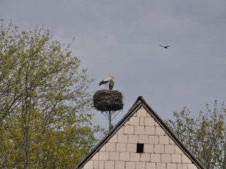 Gdy nie ma dzieci czyli Podlasie na rowerze