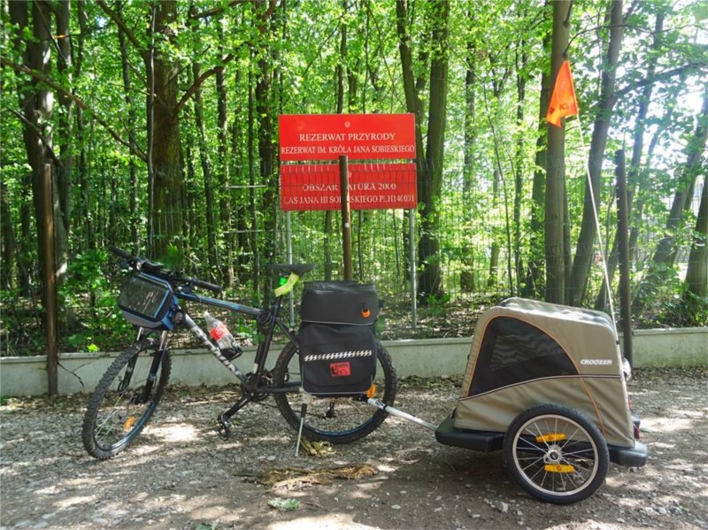 Przyczepka rowerowa dla psa Croozer Dog w Mazowieckim Parku Krajobrazowym