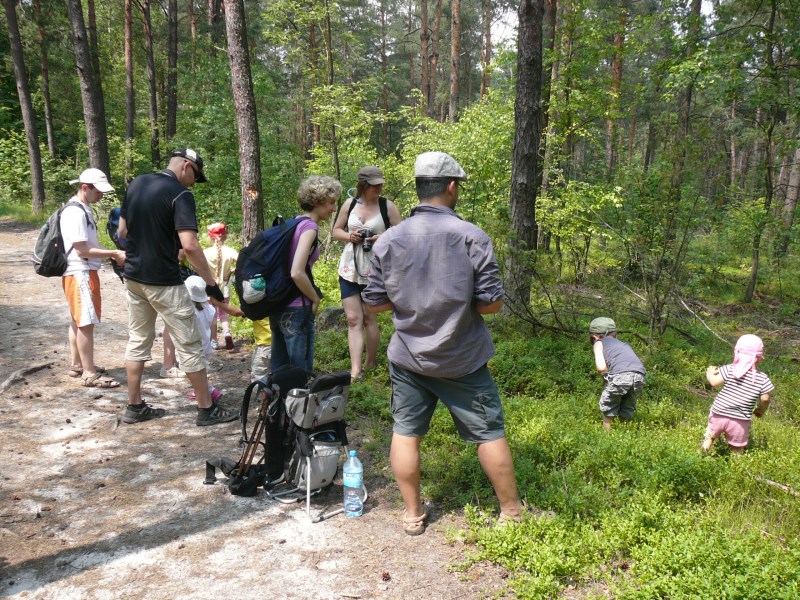 W drodze na Kołoczek.