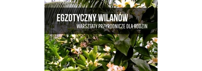 Sierpień w Parku Wilanowskim - warsztaty przyrodnicze