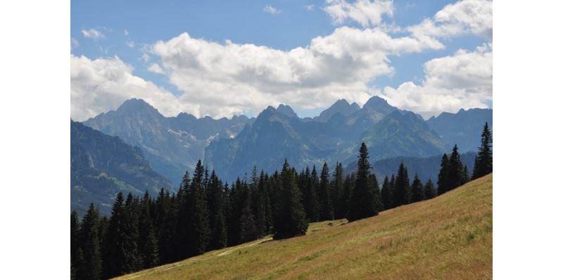 Widok na Tatry Wysokie z Rusinowej Polany - Tatry z dziećmi