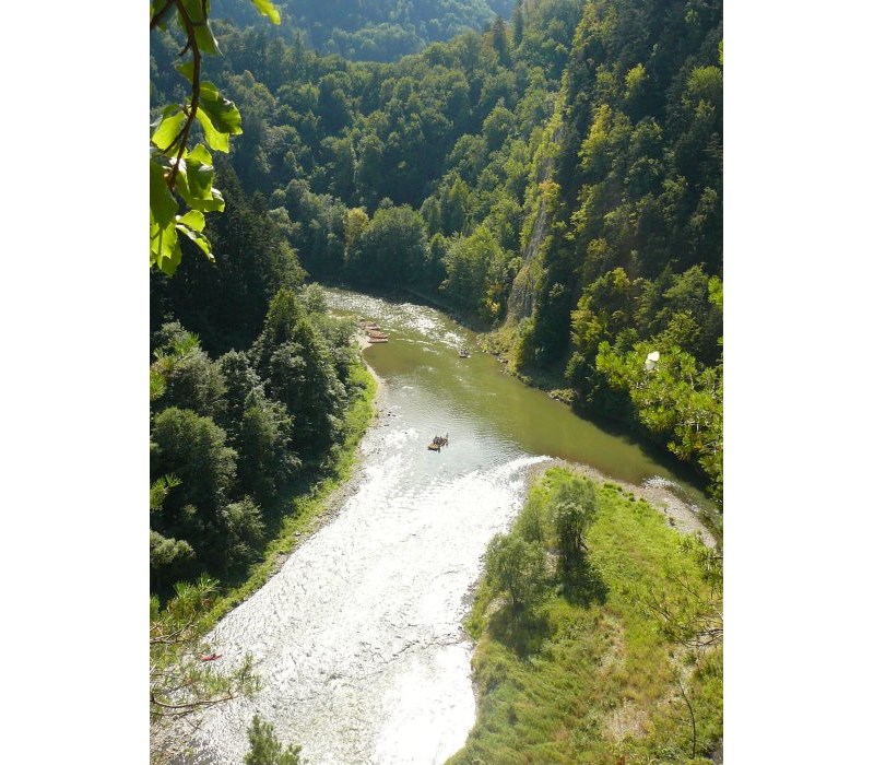 Dunajec w Dole - widok ... prawie ze szlaku na Sokolicę ;) - wycieczki z dzieckiem w Pieninach