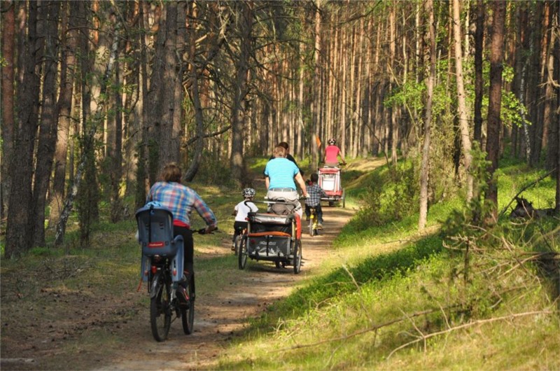 Na trasie w Parku Narodowym Bory Tucholskie - fantastyczne miejsce na aktywny wypoczynek.