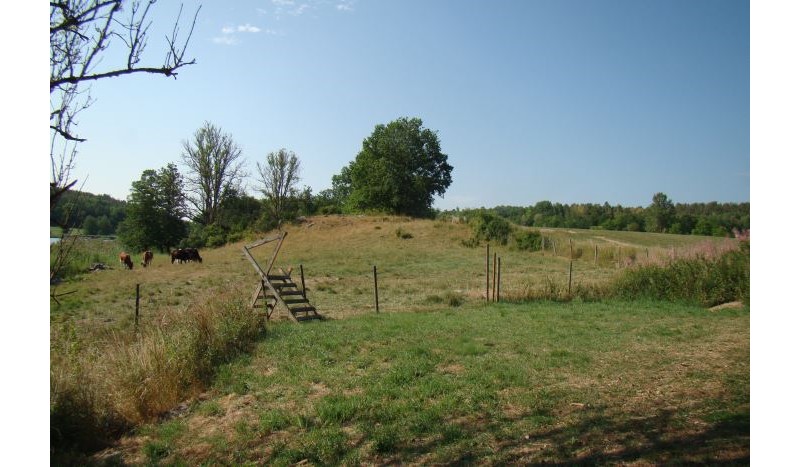 Cmentarzysko Wikingów