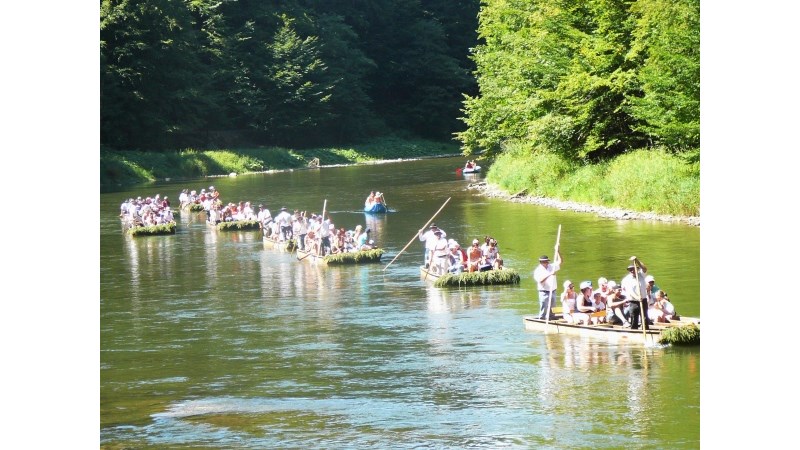 W sezonie to częsty widok na Dunajcu