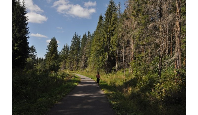 Jak widać na trasie można spotkać nie tylko rowerzystów