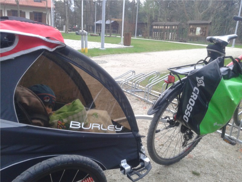 Szymek w przyczepce rowerowej Burley Solo podczas wiosennej wycieczki rowerowej do Centrum Edukacji Leśnej