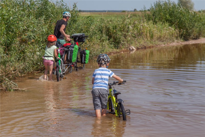 Na szlaku Green Velo w Biebrzańskim Parku Narodowym