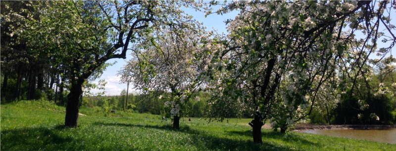 Viila Podlachia na skraju Nadbużańskiego Parku Krajobrazowego