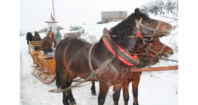 Agro-Wróbel - wakacje z dzieckiem w górach