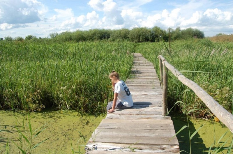 Spacer po kładce nad Biebrzą - agroturystyka dla rodzin nad Biebrzą