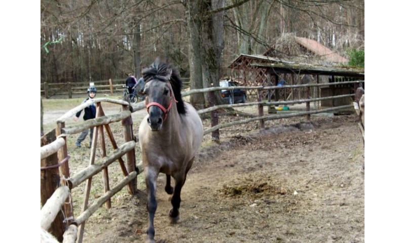  Schronisko Turystyczne przy Starej Szkole w Górecku Starym